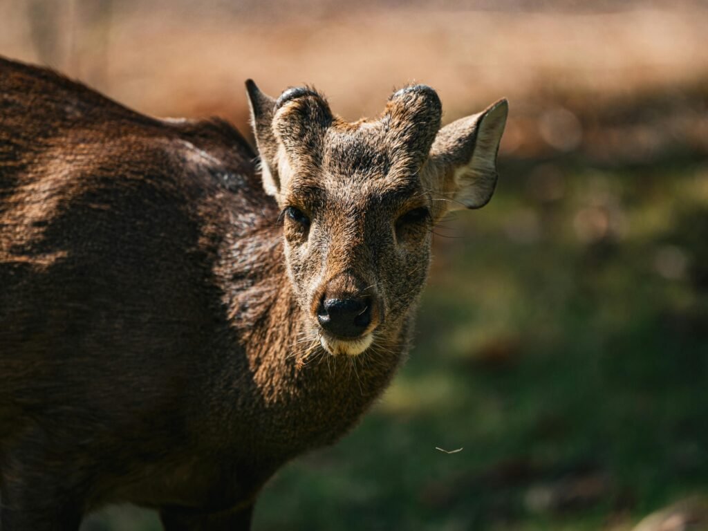 pexels-optical-chemist-340351297-31318041